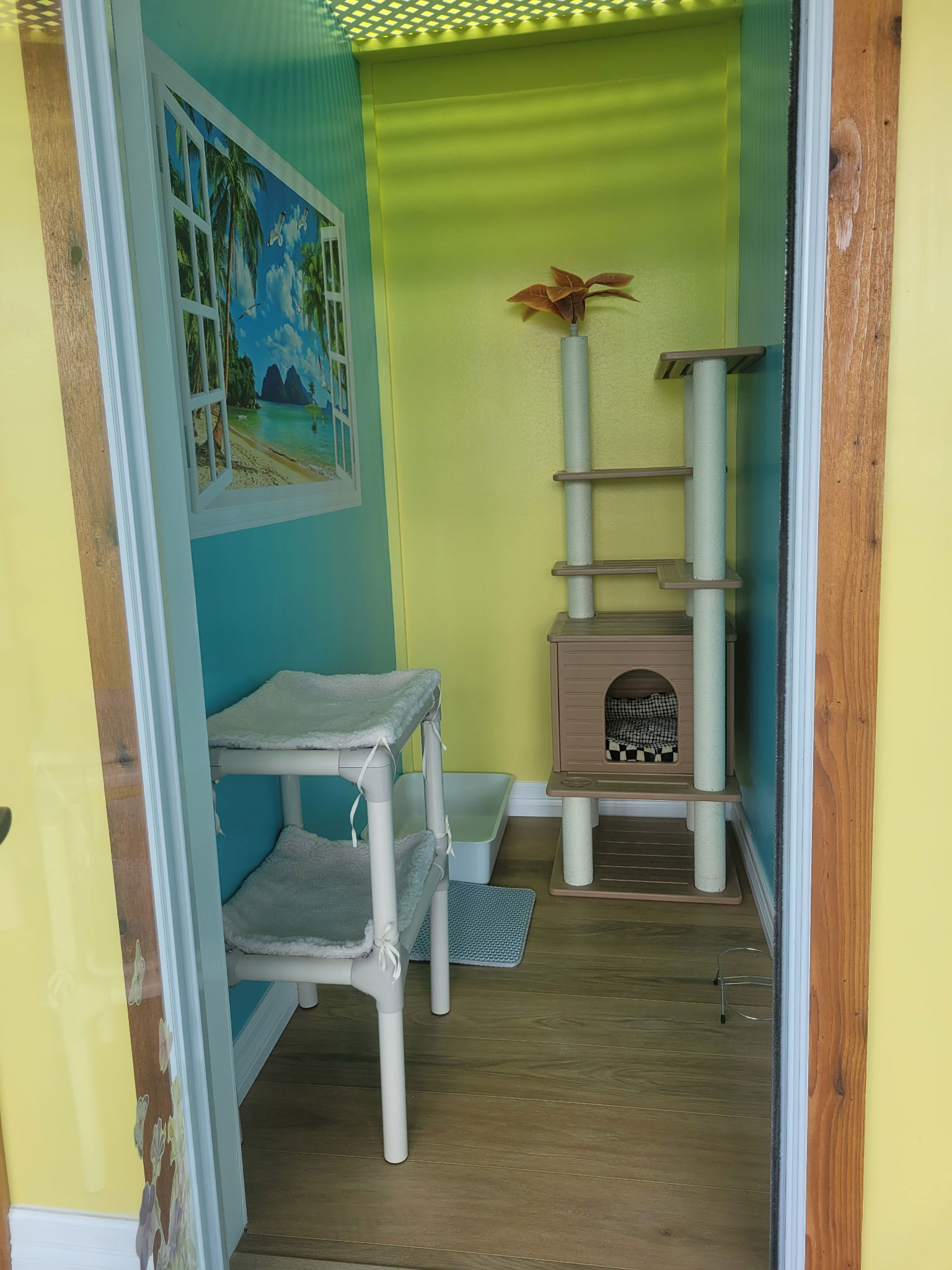 cat-boarding-room-1