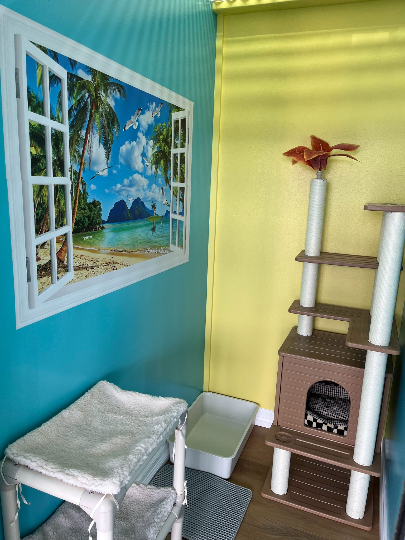 cat-boarding-room-4