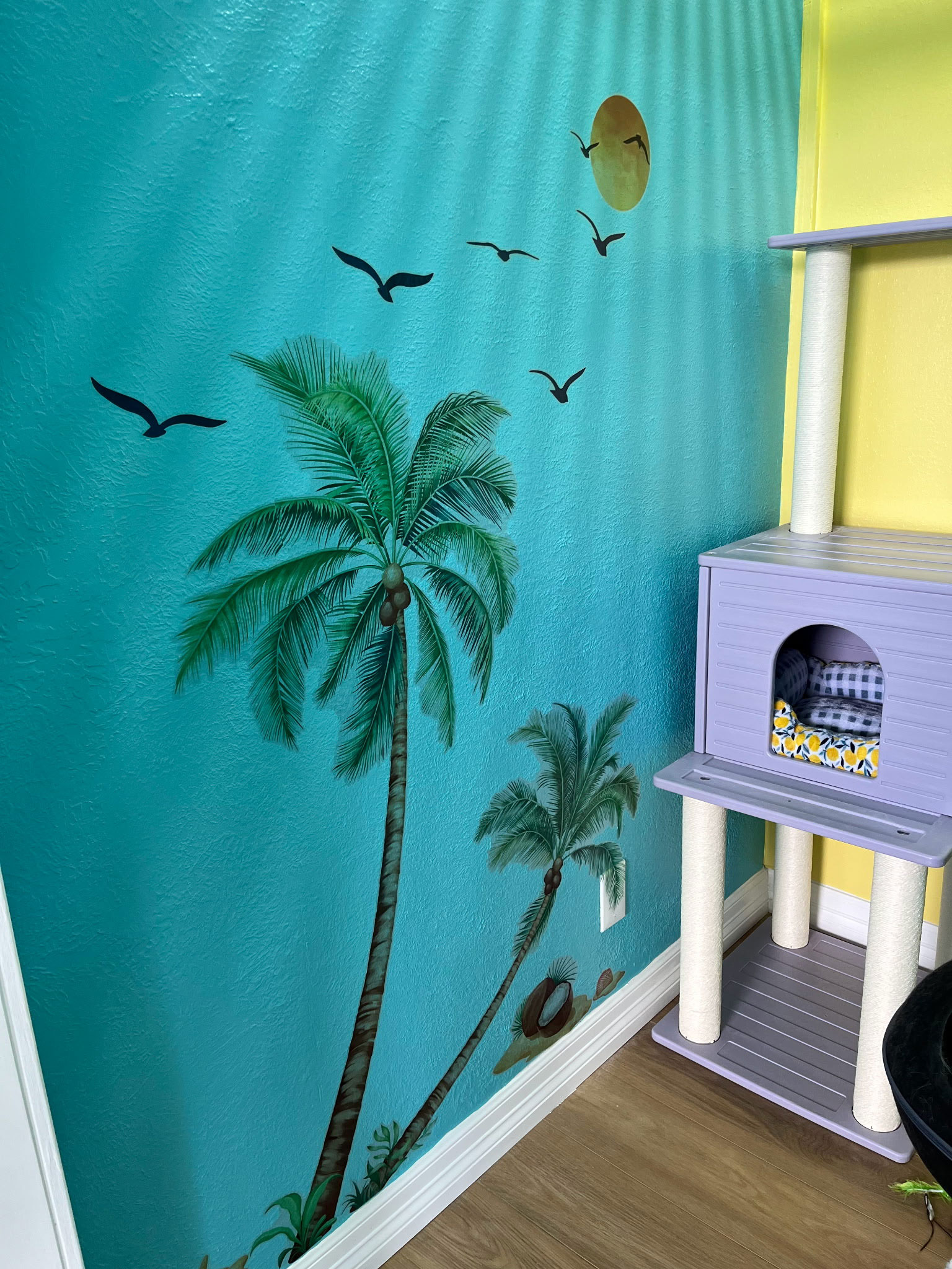 cat-boarding-room-5